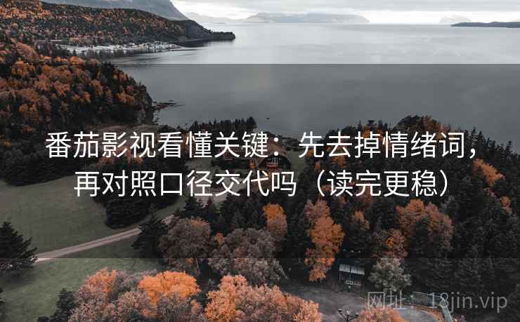 番茄影视看懂关键：先去掉情绪词，再对照口径交代吗（读完更稳）