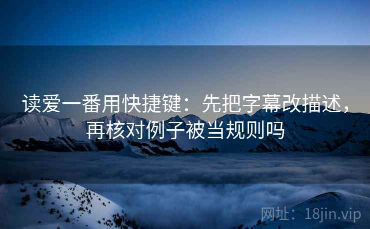 读爱一番用快捷键：先把字幕改描述，再核对例子被当规则吗